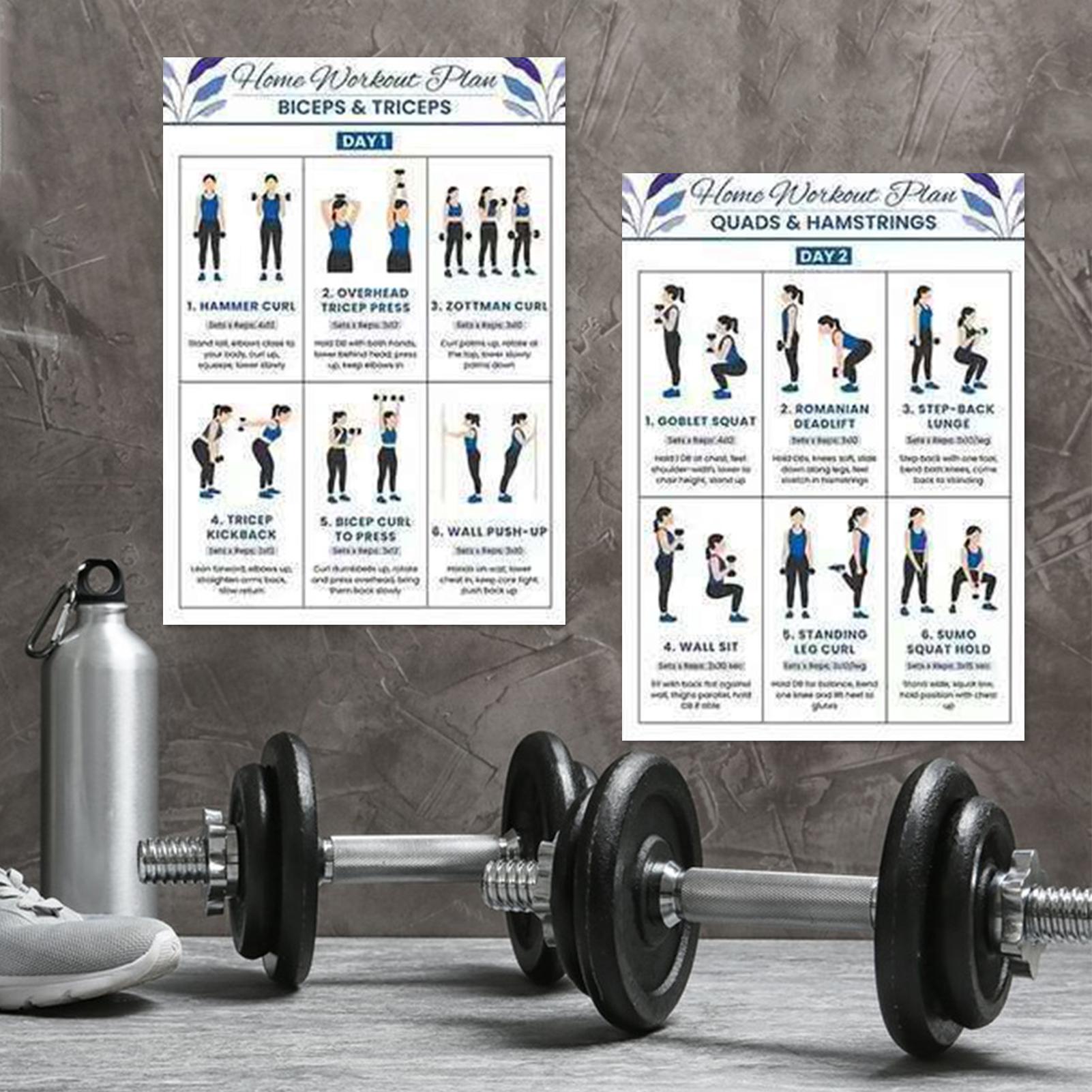 Workout Chart Full Body Comple - đánh giá và giá Home Gym Routine
