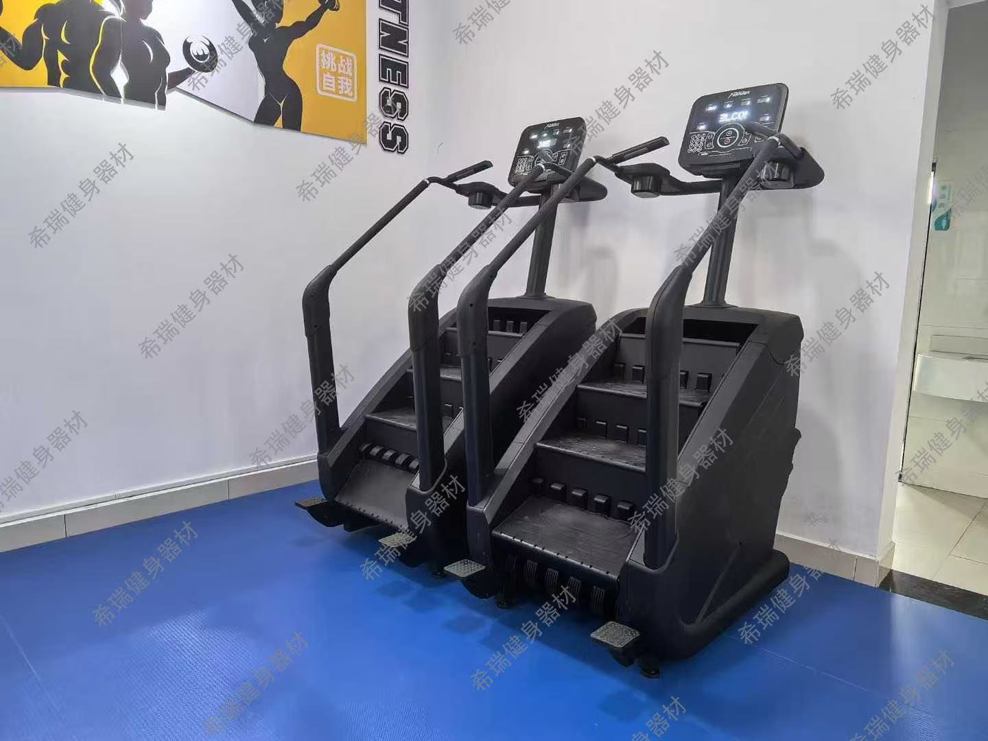 Commercial Cardio Equipment Ex - đánh giá và giá Home Gym Used