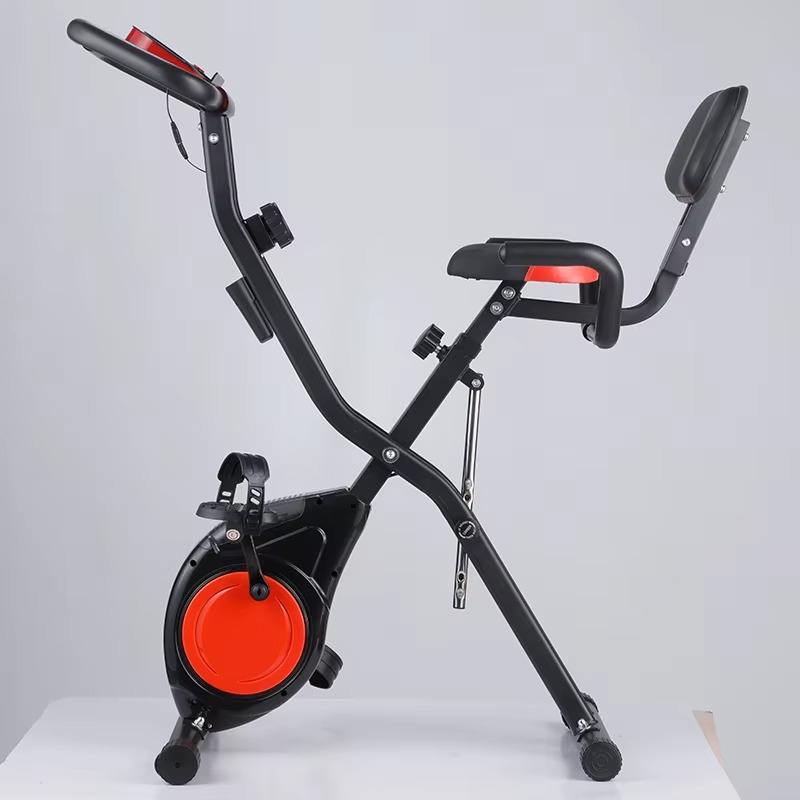 Home Gym Magnetron Exercise Bi - đánh giá và giá Home Gym Routine