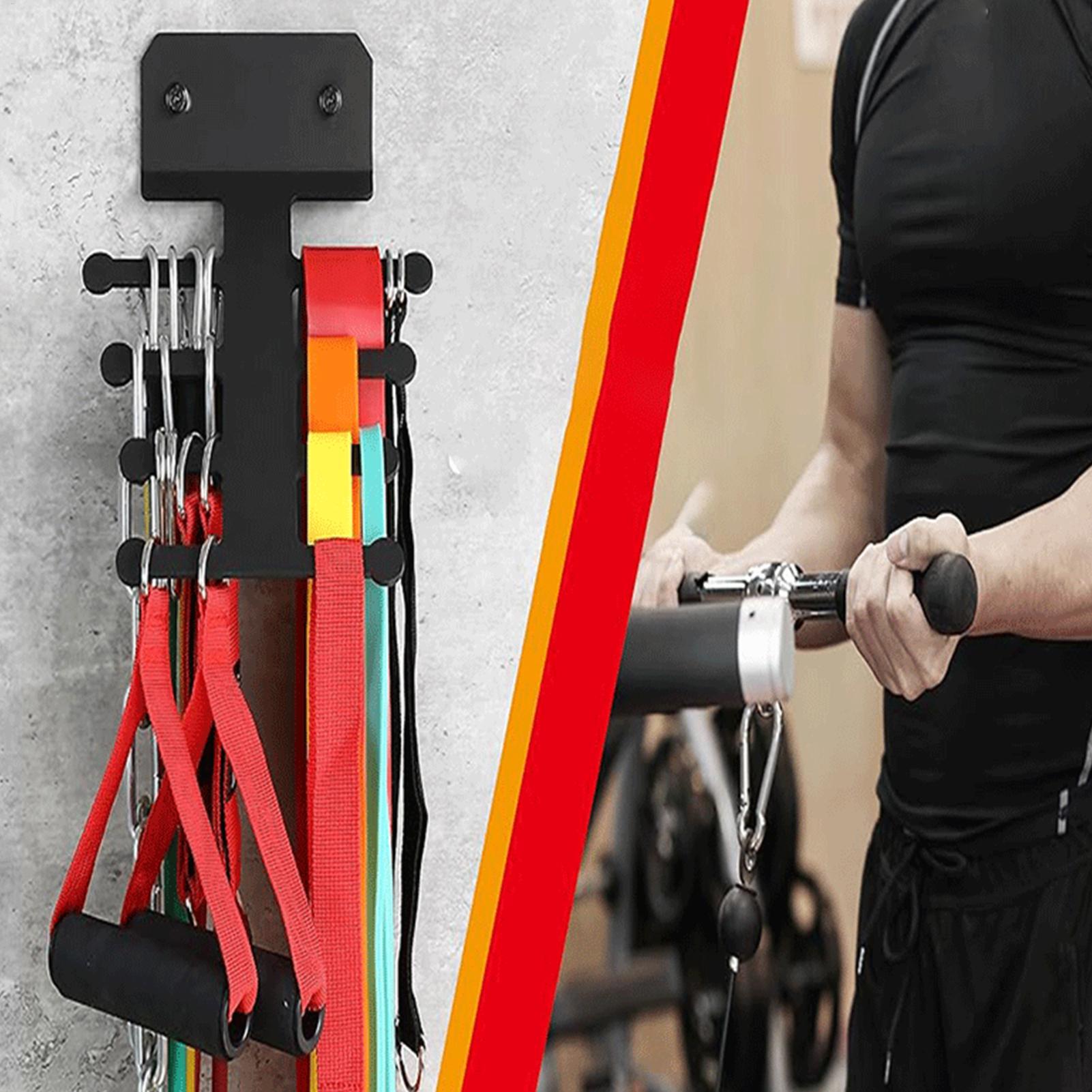 Gym Wall Storage Metal Heavy D - đánh giá và giá Home Gym Routine