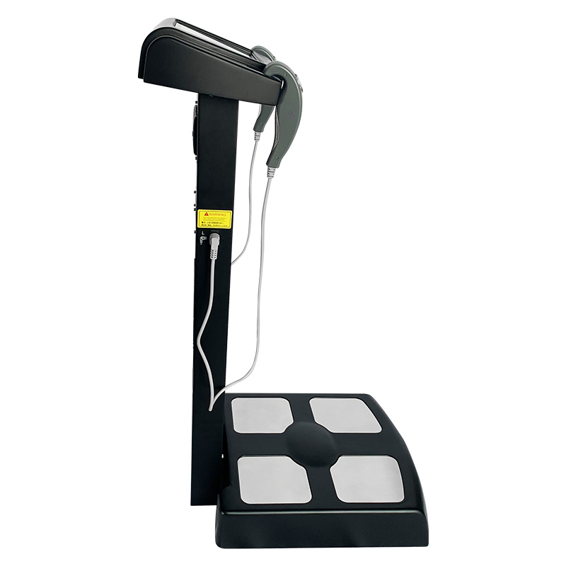 Commercial Body Composition An - đánh giá và giá Home Gym Used