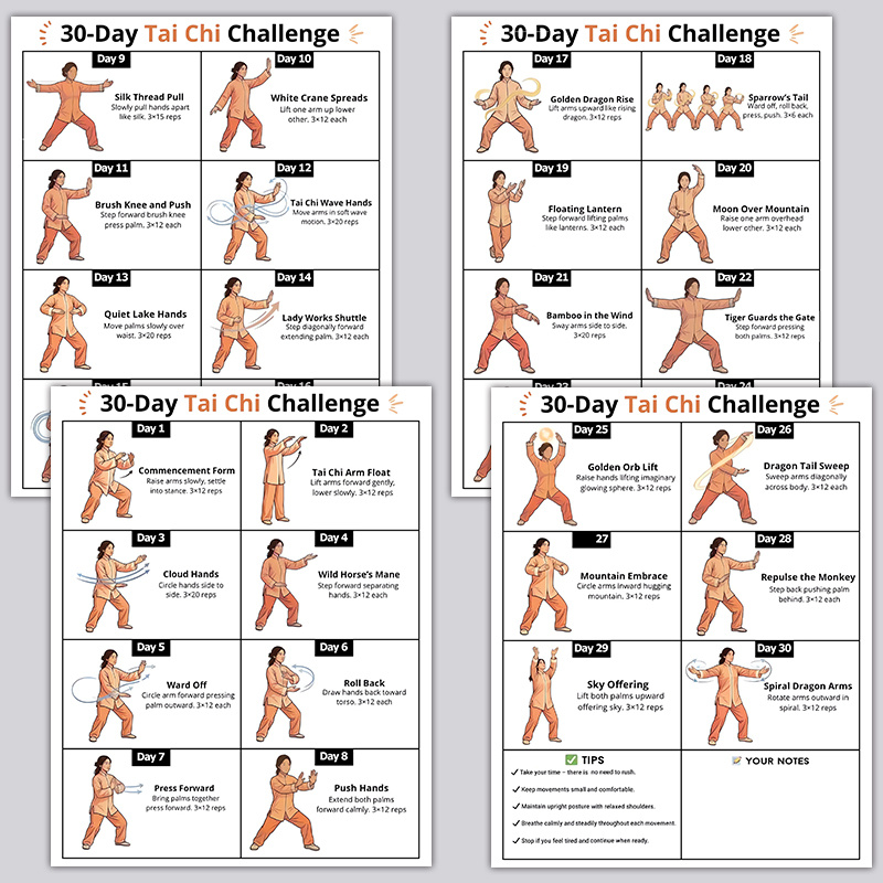 4pcs 30-Day Tai Chi Challenge  - đánh giá và giá Home Gym Routine