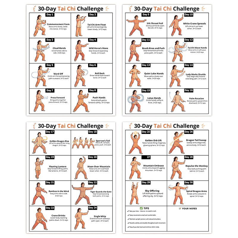 4pcs 30-Day Tai Chi Challenge  - đánh giá và giá Home Gym Routine