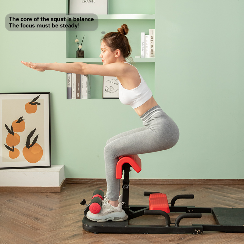 Sissy Squat Machine 3-in-1 Hom - đánh giá và giá Home Gym Quad Exercises